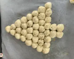 Step <p>Despois espoldrexamos con ourego.</p> illustration