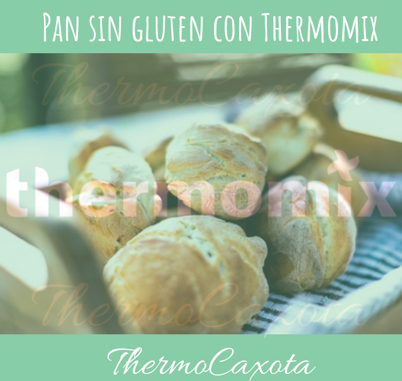 PAN SIN GLUTEN CON Thermomix® Dietas especiales Blog de MONICA